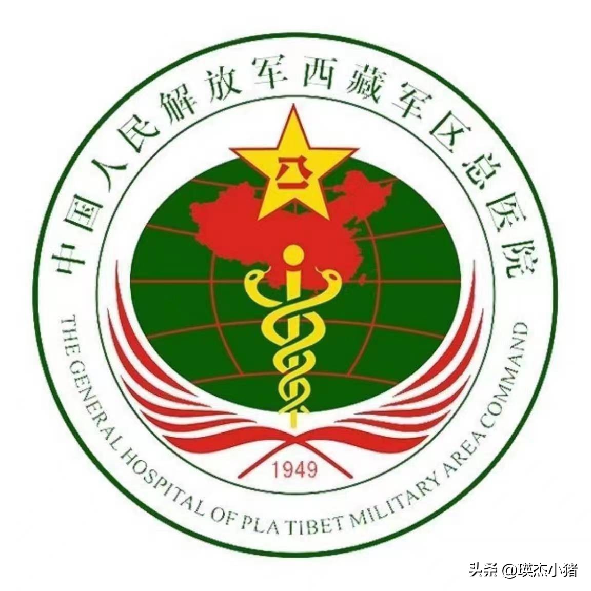 陆军第七十三集团军医院什么级别,陆军军医大学下属几家医院