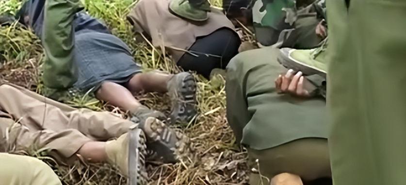 国人去缅北卖“人肉”，挂平台公然贩卖，竟然是“合法”的？