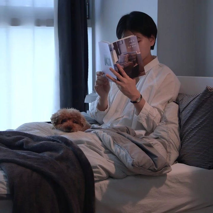 一女子租房八年四年不给房租,河南一女子在出租房待8年