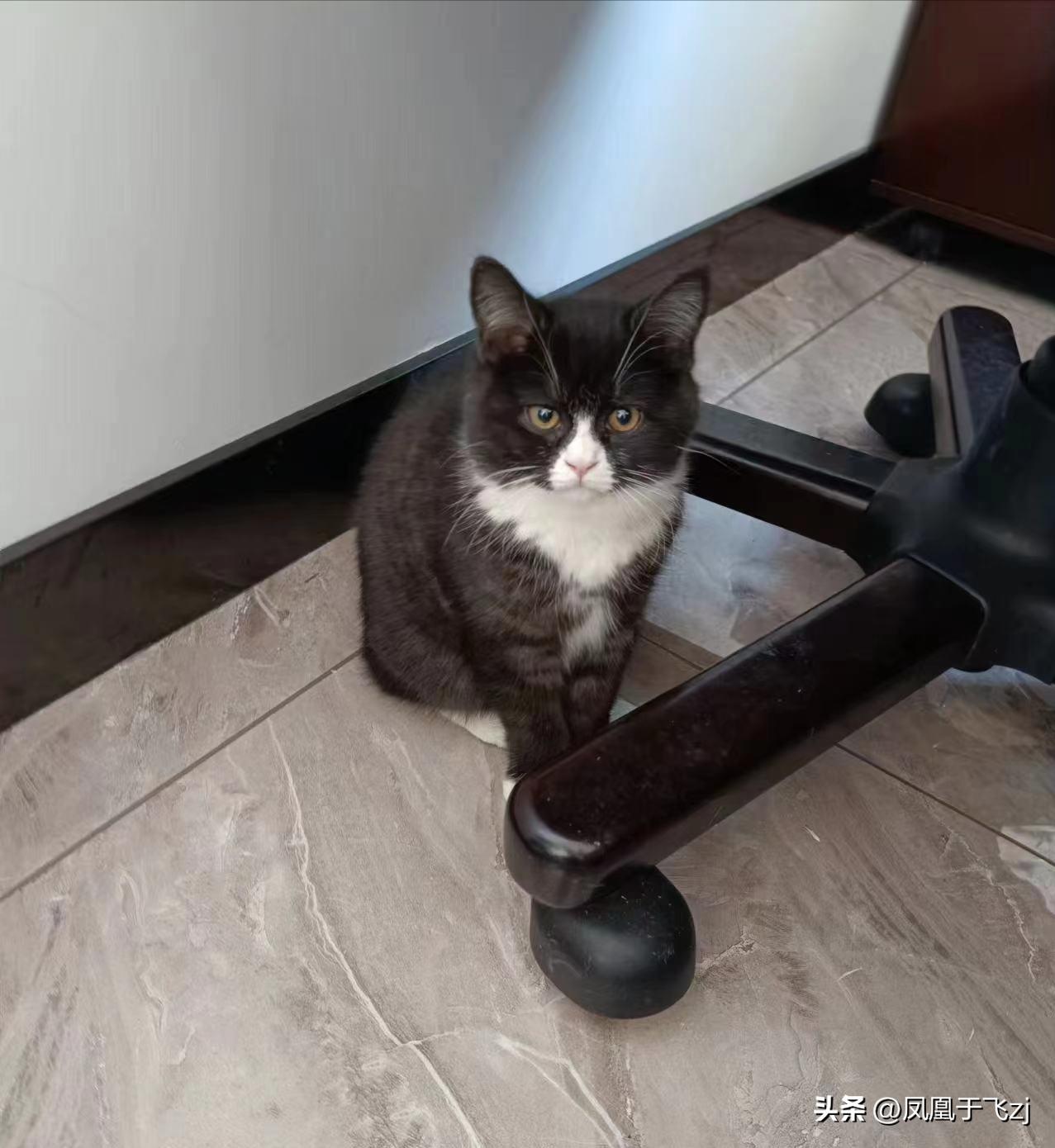 倒时差导致失眠了怎么办,倒时差和失眠