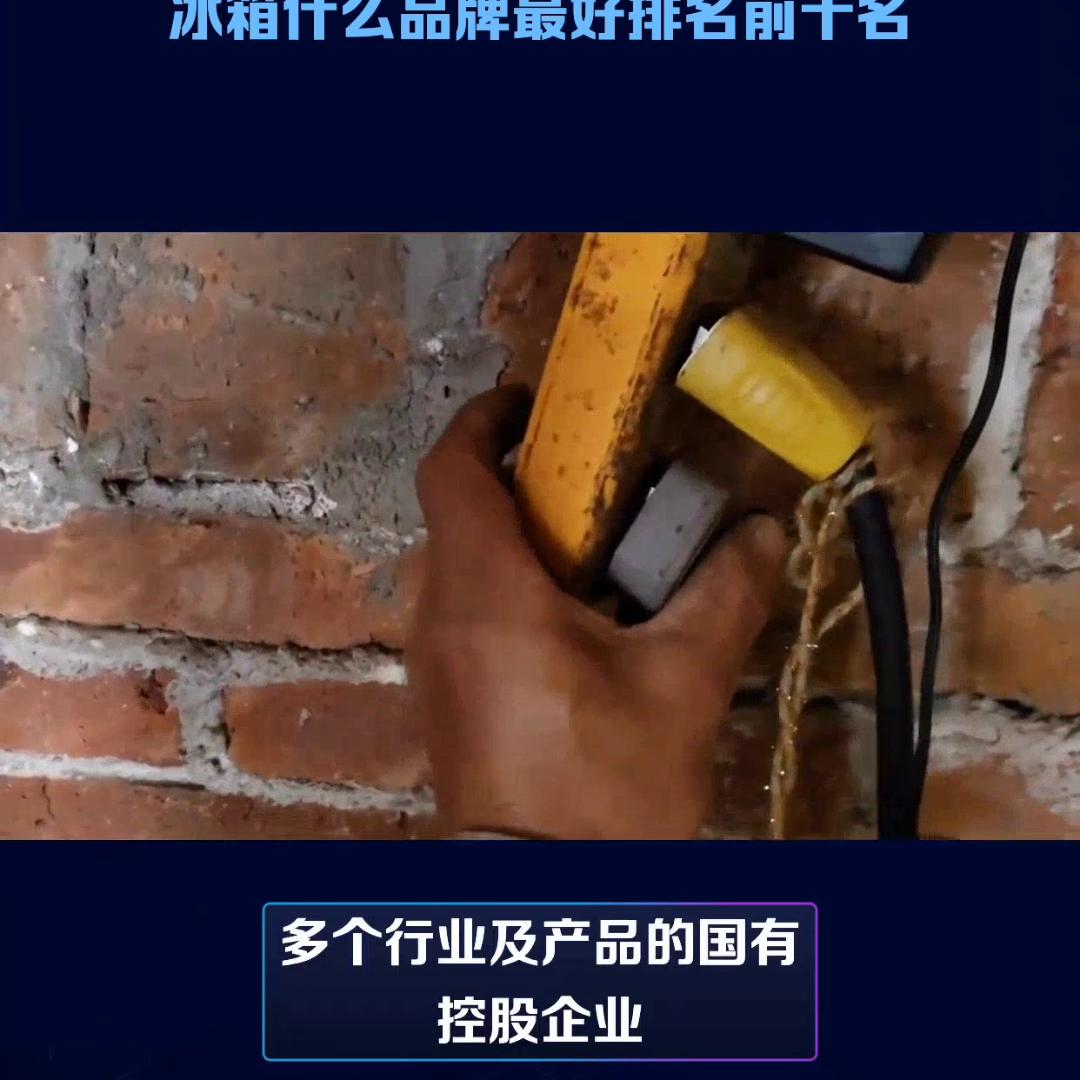 十大公认最好的冰箱品牌排名,冰箱哪个牌子好排行2020