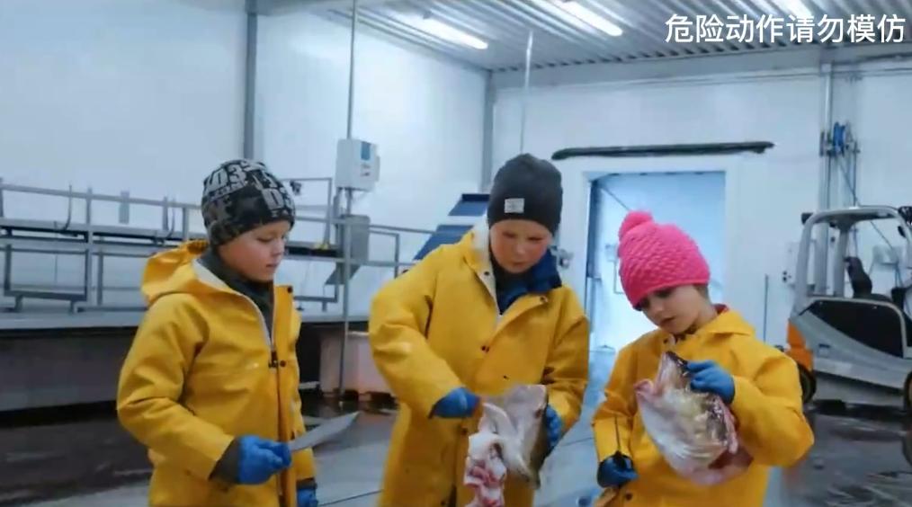 这就是挪威人的童年：10岁就可以靠自己买游艇，中国小孩羡慕哭了