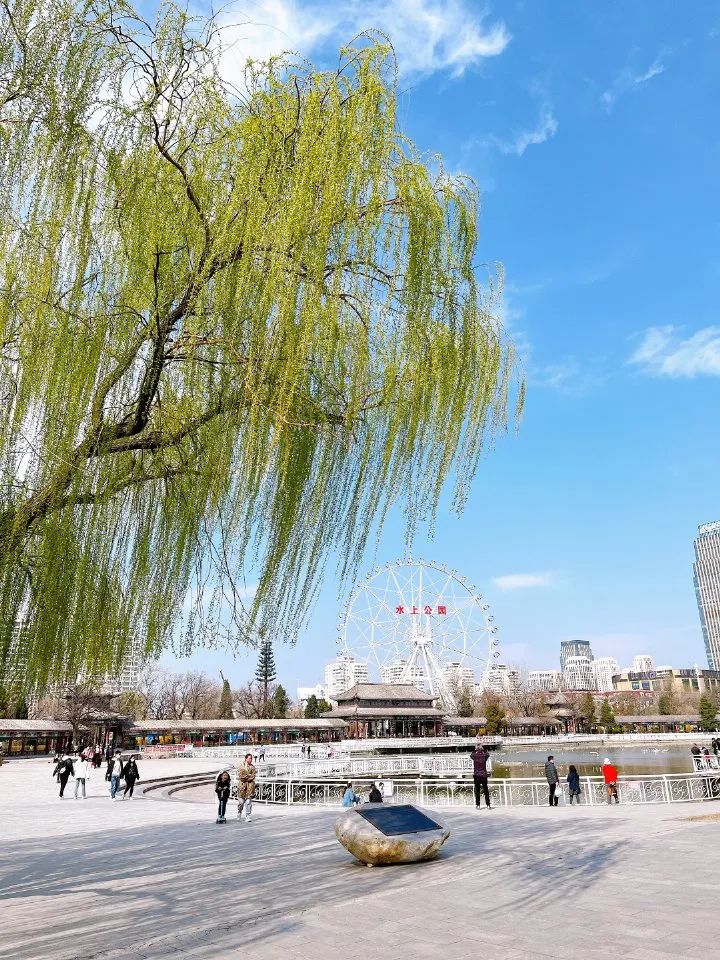 天津冬季遛娃,天津遛娃的免费公园