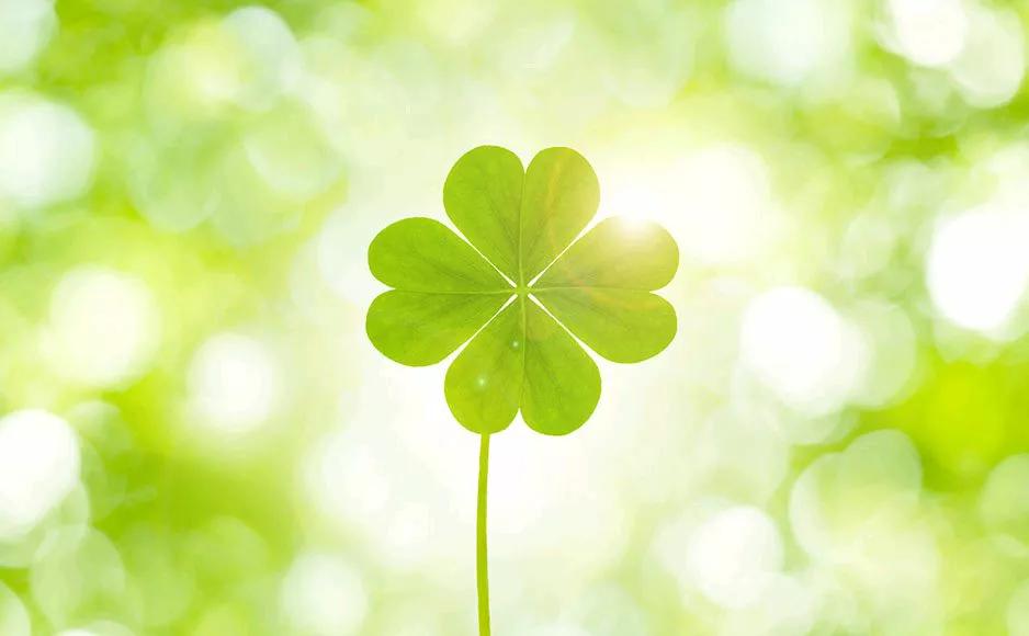 房子成了法拍房还欠银行钱吗,房子成法拍房了能拿回本金吗