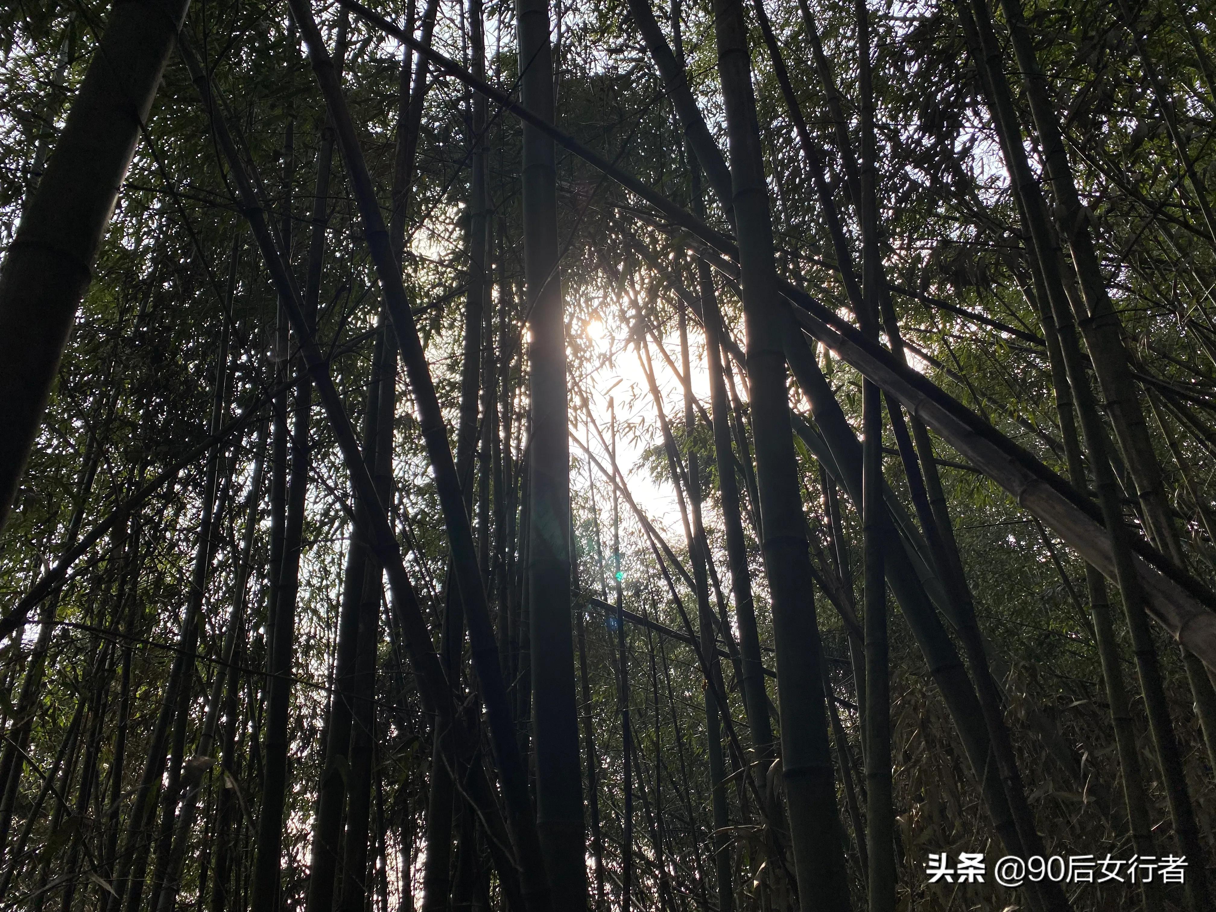 徒步大邑华山村,徒步大邑万佛顶