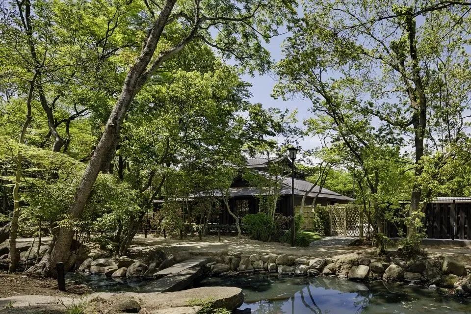 日本新宿东京哥斯拉主题酒店,日本旅游选酒店小技巧