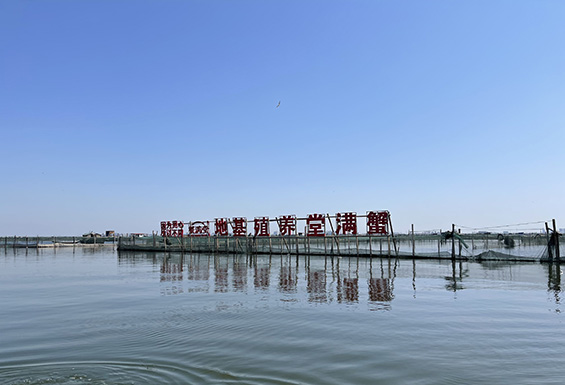 蟹满堂阳澄湖大闸蟹石家庄华夏店,蟹满堂阳澄湖大闸蟹恒大店