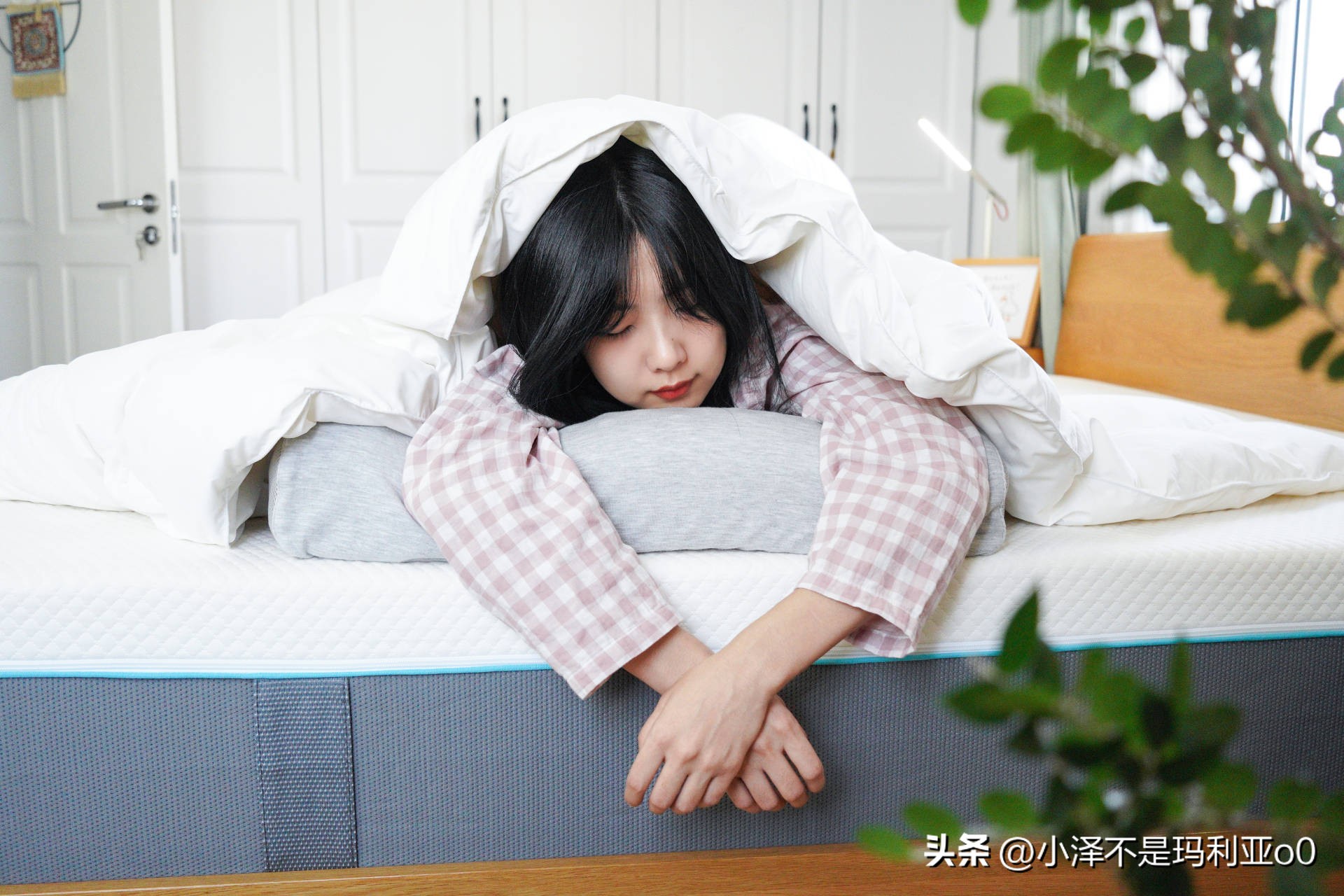 羽绒被品质好还是鹅绒被品质好,如何挑选性价比高的羽绒被