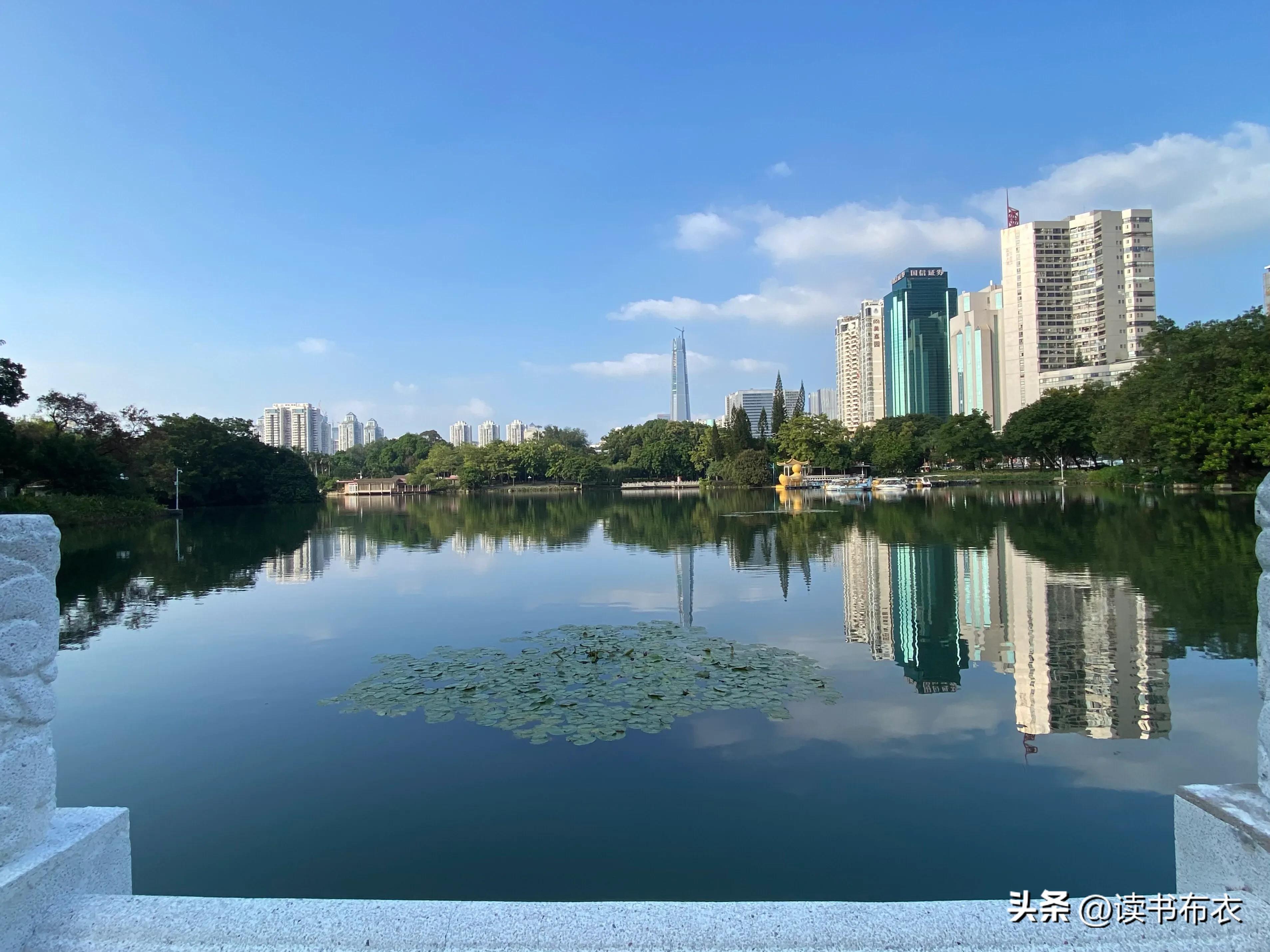 深圳荔枝公园杀人事件,深圳荔枝公园真的太美了