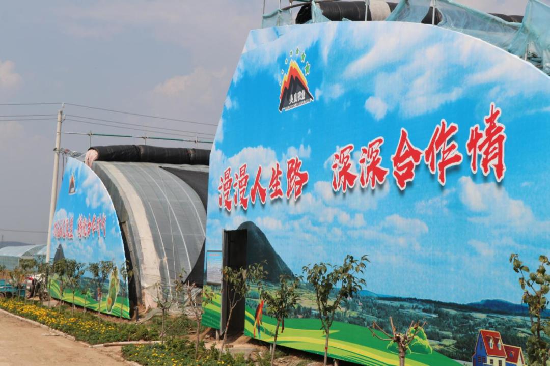 乡村振兴激活土地要素,乡村振兴黄金百香果