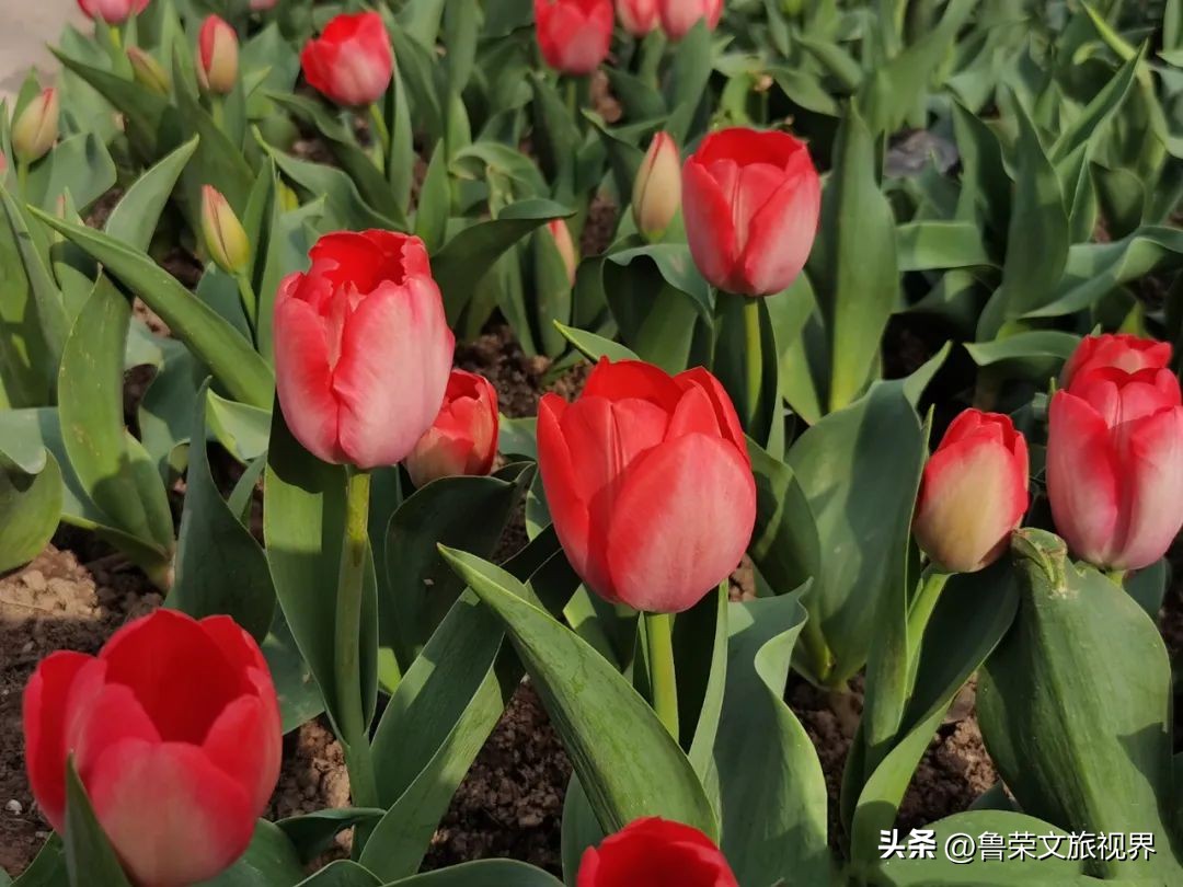 西安旅游攻略大全坐地铁,西安地铁旅游攻略三日游