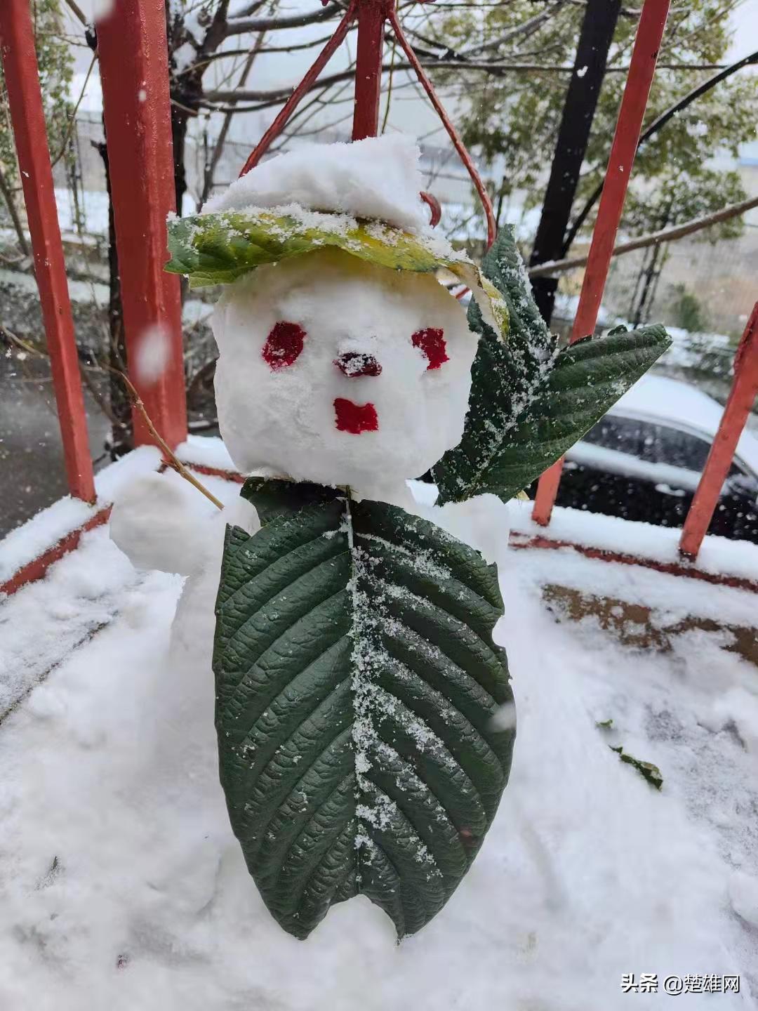 堆雪人创意大赛活动方案,堆雪人大赛活动