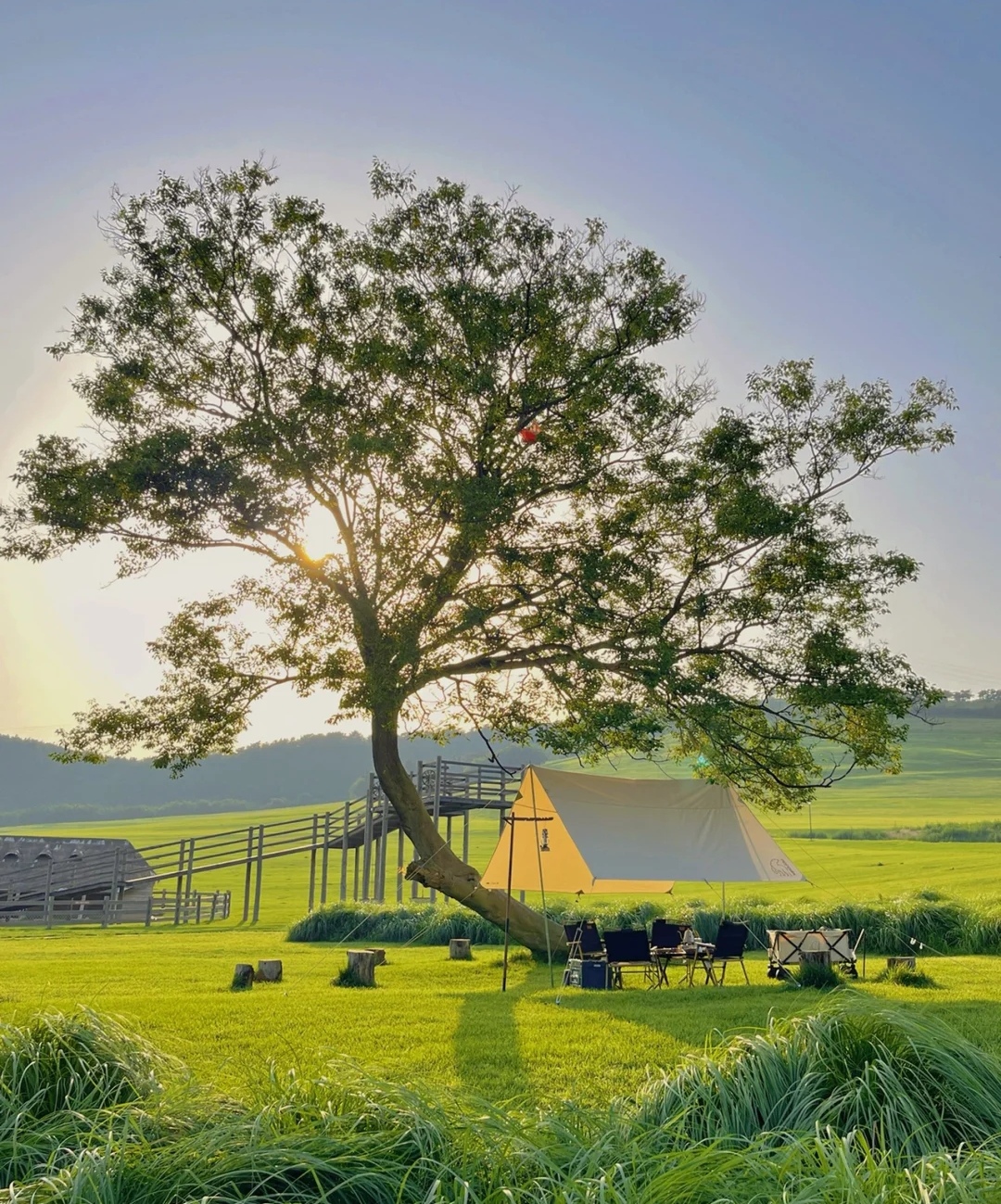 涓夊鐗у満娓歌鎰熷彈,娓哥帺涓夊鐗у満鎰熷彈