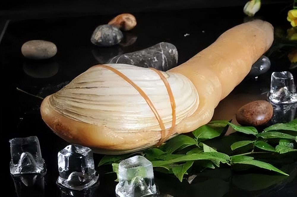 太子园林酒家焕新钜惠|一星价格五星享受