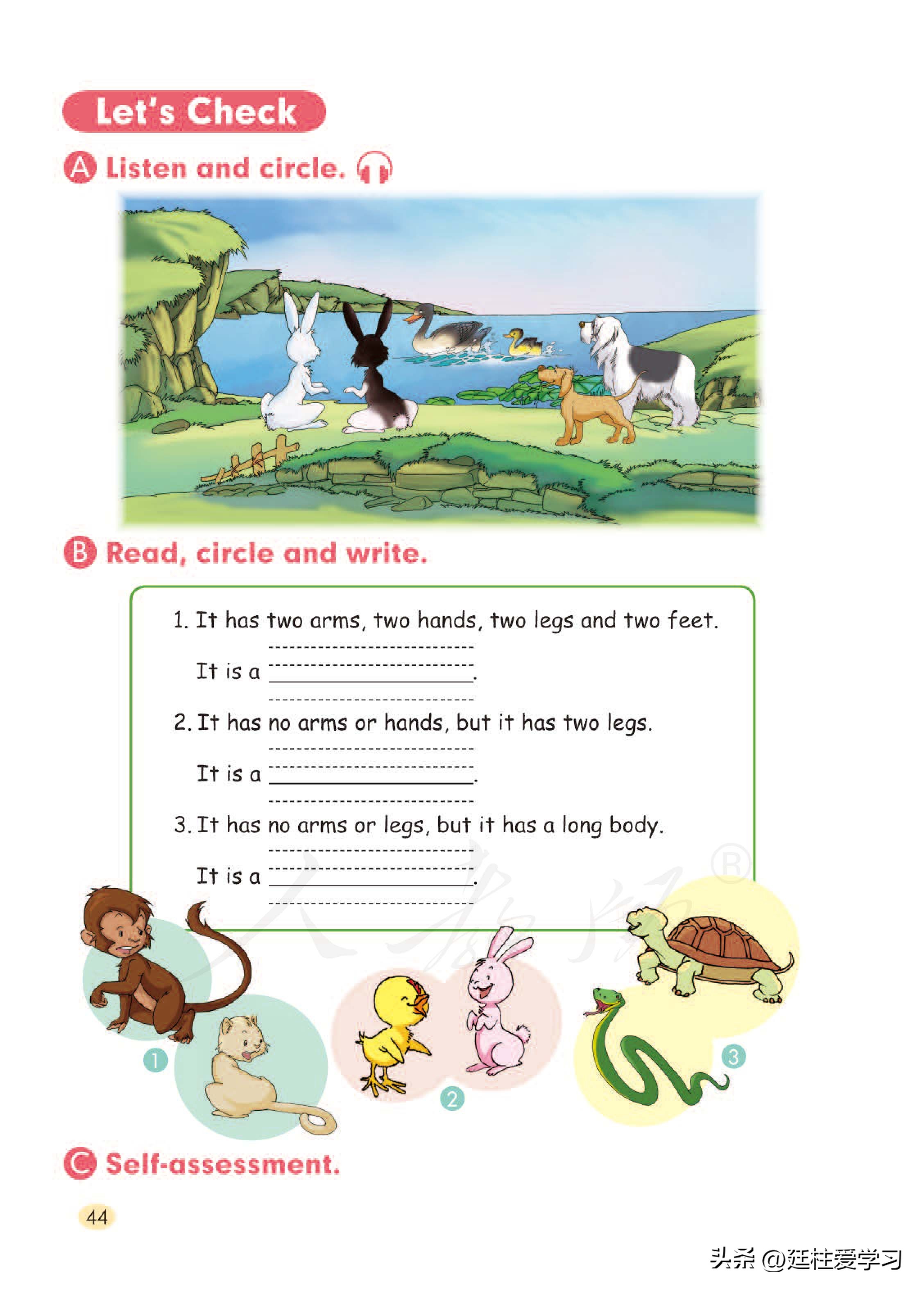 小学英语外研版三年级上册,小学英语精通版三年级上册