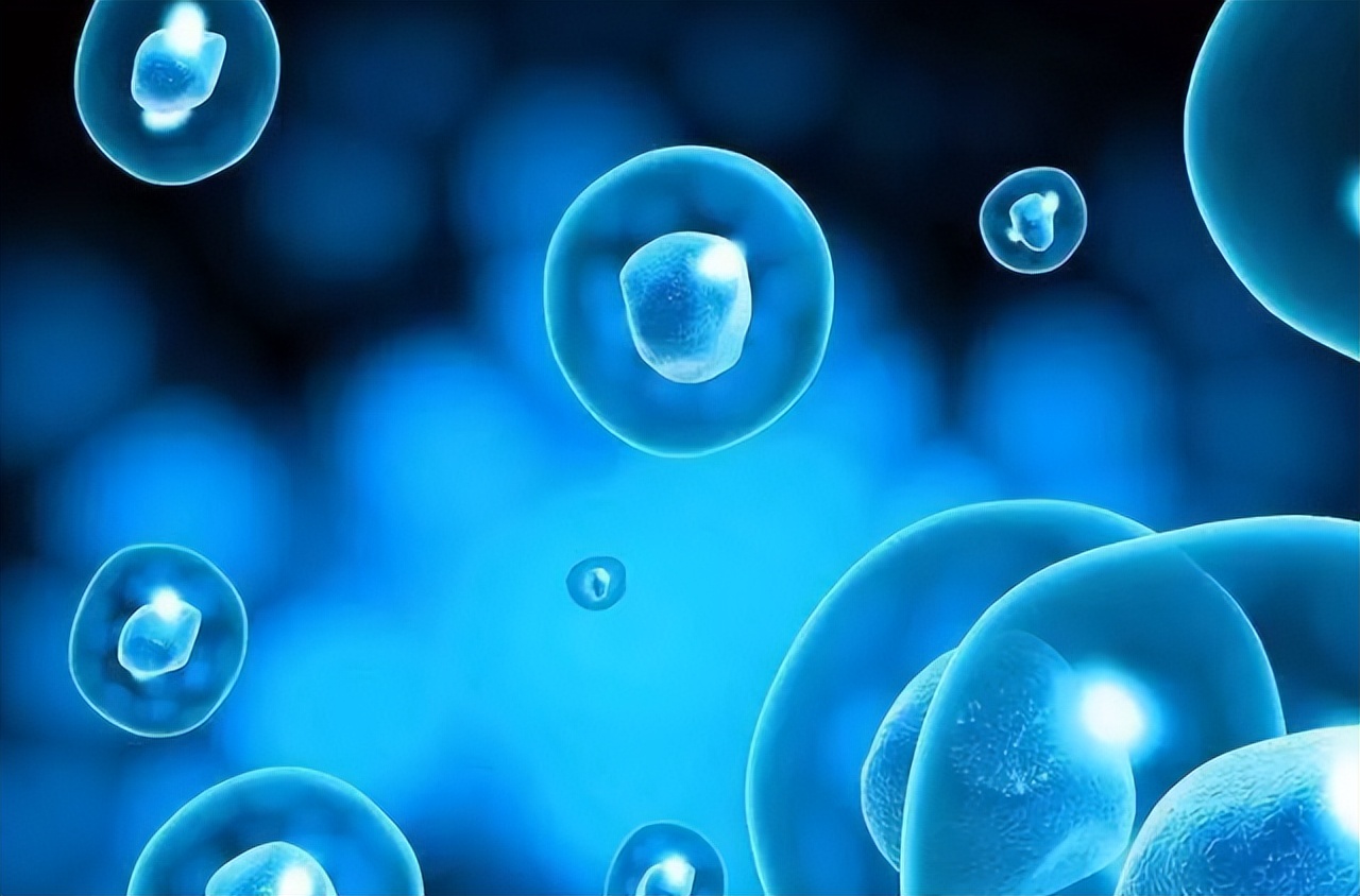 提高免疫力最好最实用的药是什么,提高免疫力的药物哪个最好最快