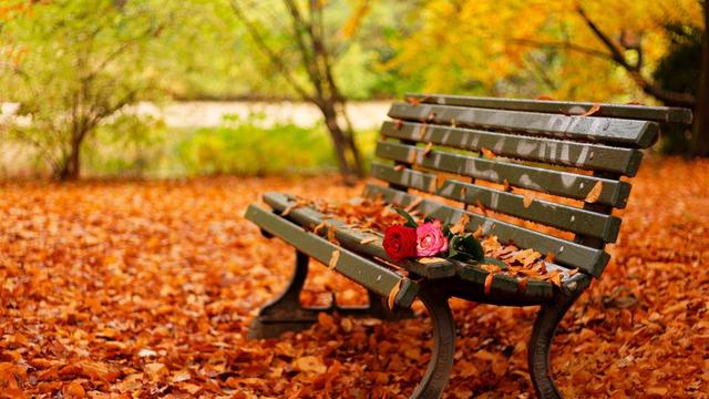 怎样描写秋天？从不同角度来刻画秋天的特点