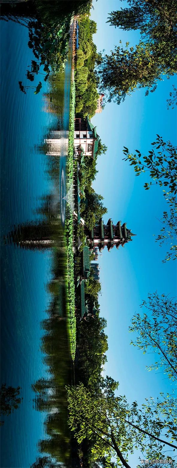 新都是镇还是区啊,什么是幸福的文案