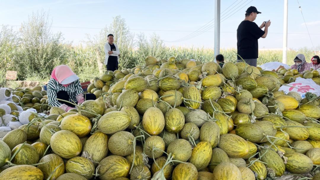 水岸明珠开业大吉,水岸明珠浠水店专场直播