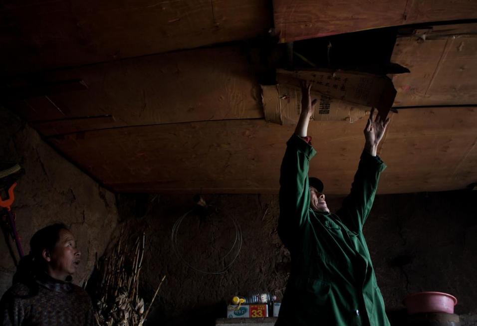 好心奶奶救下蛇20年后,男子救下一条小蛇20年后来报恩