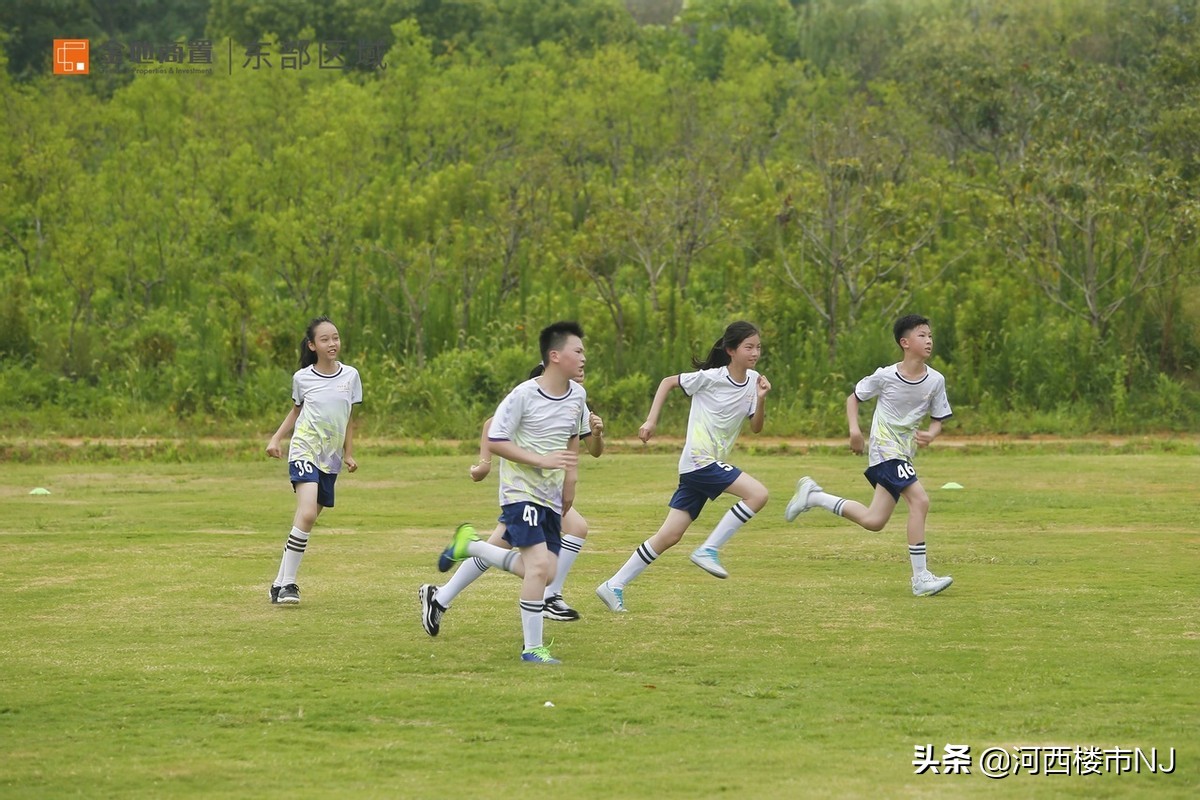 金地商置2018年,金地夏令营