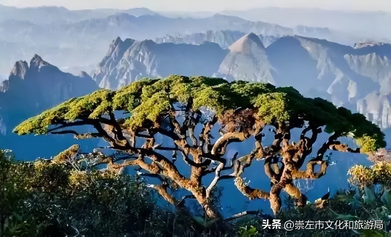 广西研学旅行基地营地名单,广西中小学生研学教育实践基地