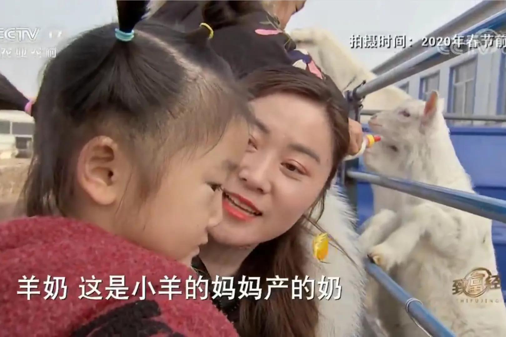 男子筹集40万承包300多亩山林养猪,一小伙承包荒山搞养殖年挣百万