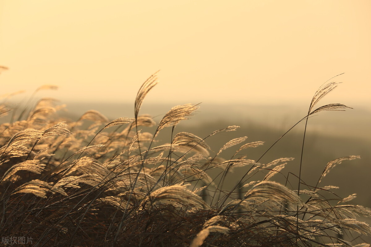 不同月份有什么别称,一到十二月每个月的别称