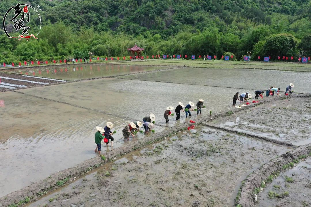 春分节气趣味民俗你了解多少,春分节气的特点和风俗文字