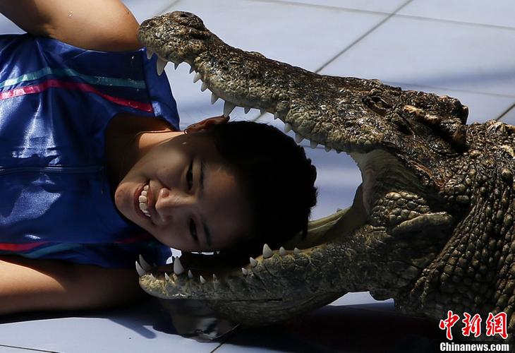大兴野生动物园之旅,北京野生动物园和猛兽亲密接触