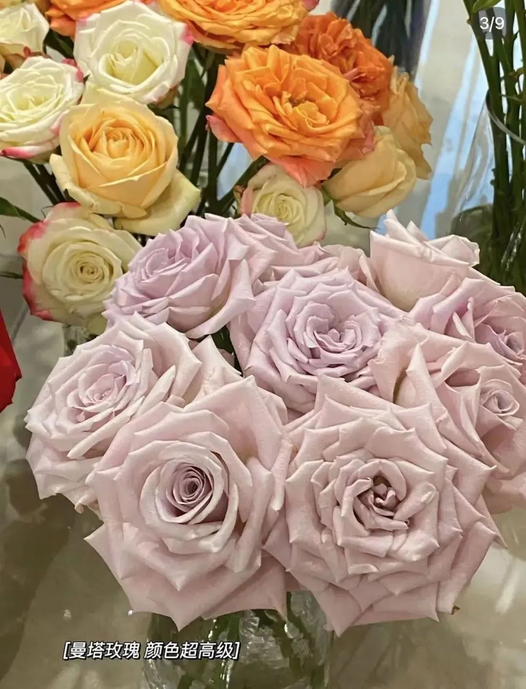 郁金香是不是智商税,郁金香是毒花吗