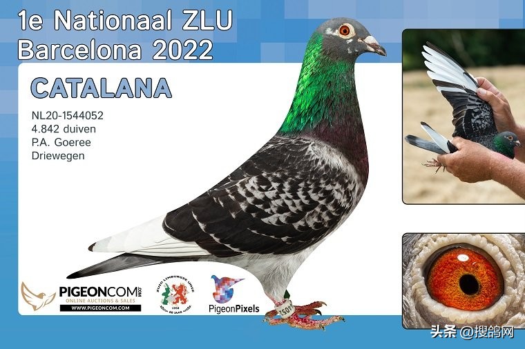 巴塞罗那夺得几次欧冠冠军,巴塞罗那有几个冠军