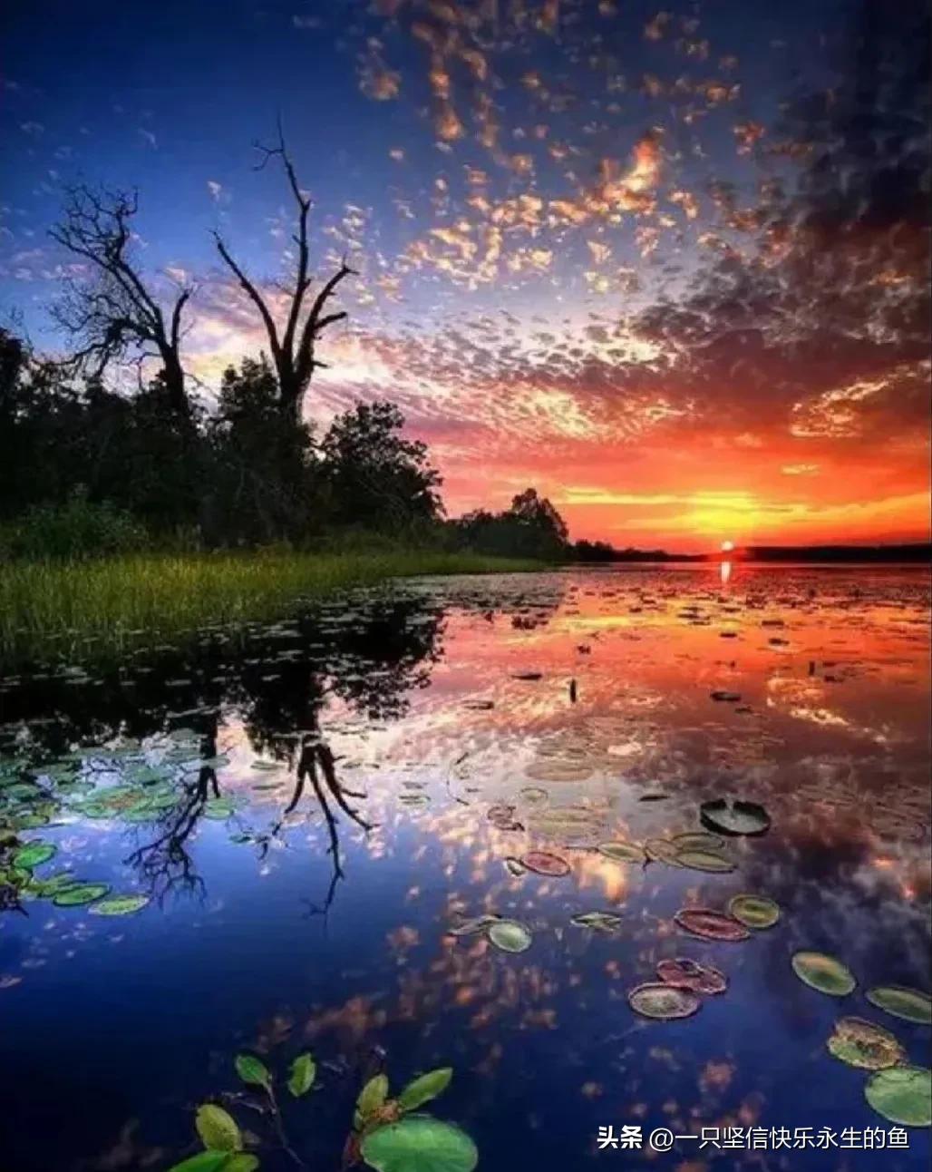 阅读打卡第九天，国学格言集这样教育后辈到底对不对……