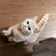 前女友的妈妈带着前女友说“她是我的孩子”？