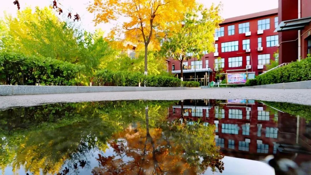 北京基础教育课程建设成果,北京基础教育强基工程