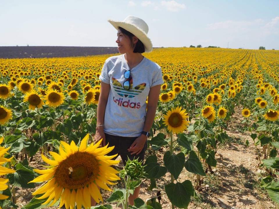2019亚洲杯陈婉婷,陈婉婷香港联赛战绩