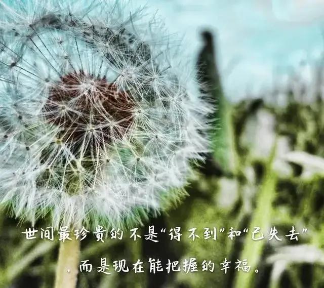 上高一的儿子抑郁了，看我如何运用《当下的力量》化解它