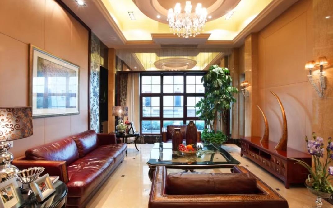 客厅大花盆栽树,100种家庭客厅盆栽树