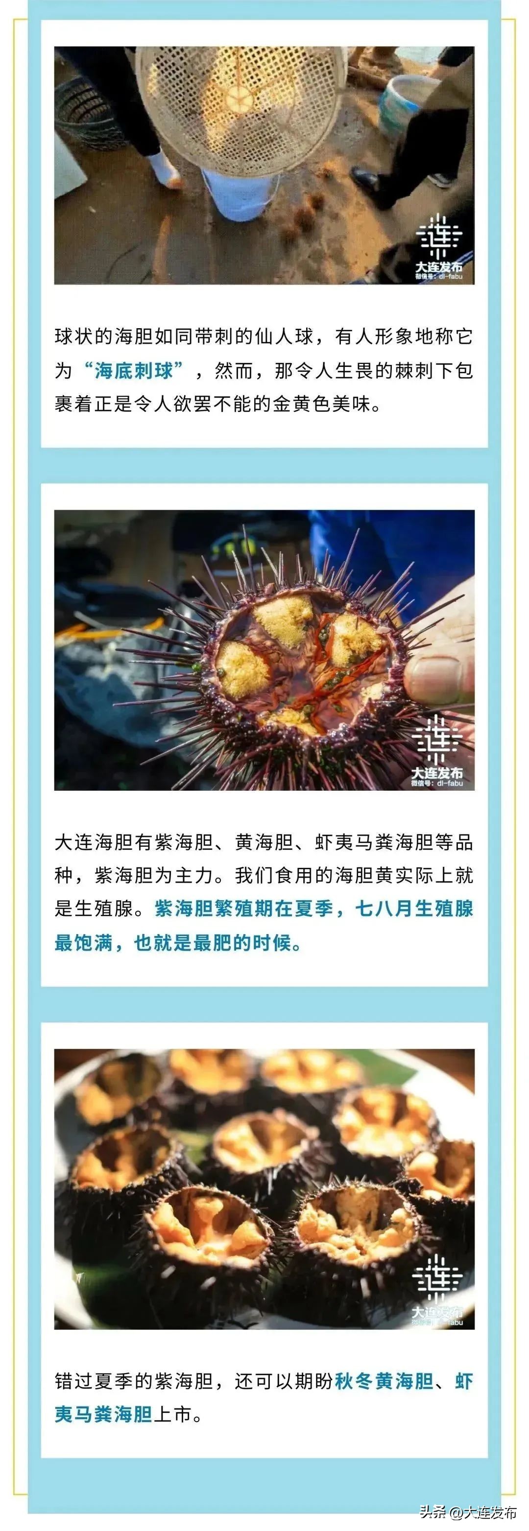 实现海鲜自由的秘诀,实现海鲜自由另一种说法