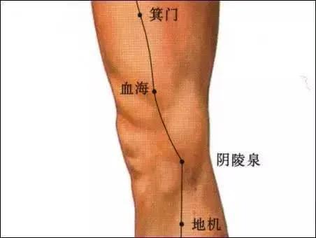 小便不利选穴,箕门穴治疗膀胱炎