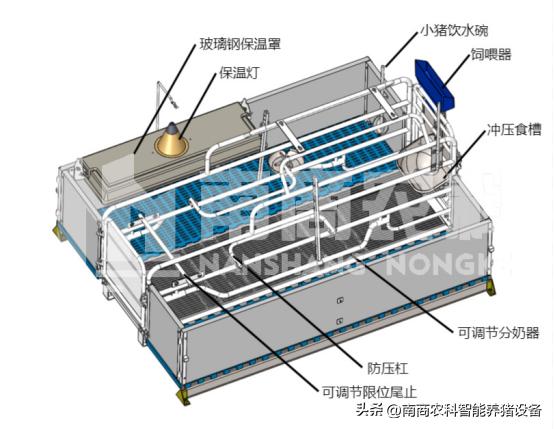 母猪产床尺寸一般是多少,自制母猪产床尺寸是多少