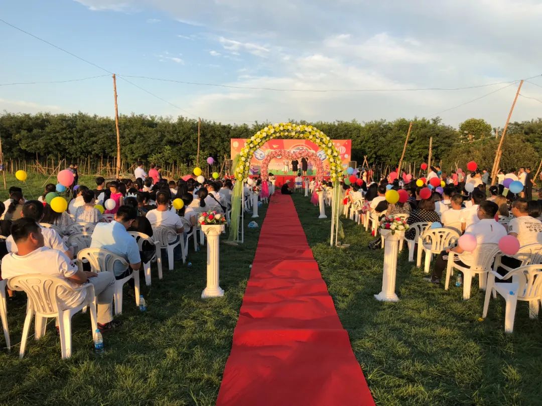 休闲农业与乡村旅游项目分析,休闲农业与乡村旅游什么时候开始