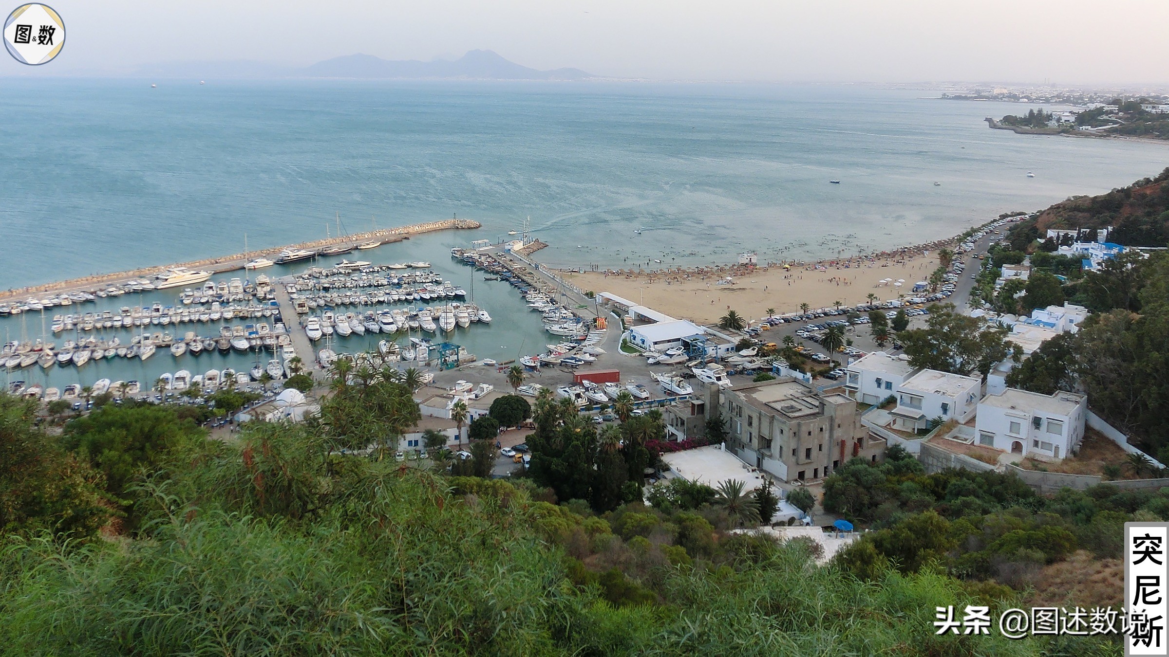 卡塔尔世界杯参赛球队有哪些,卡塔尔世界杯有多少支球队