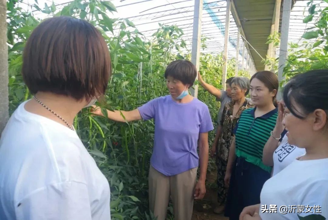 “沂”起学理论·创业创新巾帼行罗庄、沂水、费县、兰陵开展“乡村振兴巾帼行动”沂蒙行志愿服务直通车活动