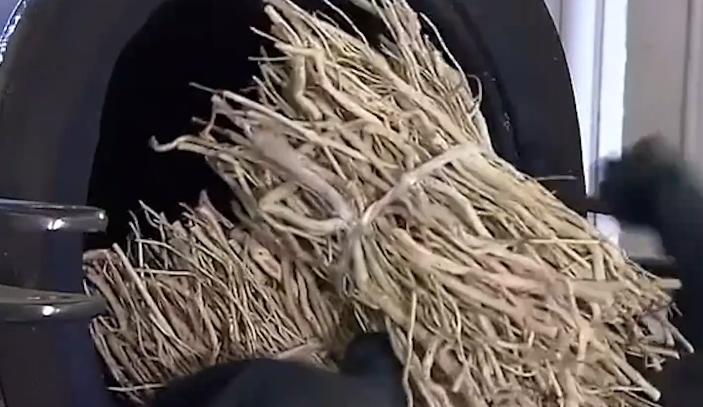 用树木做的宝石,用废弃的树枝制作宝石