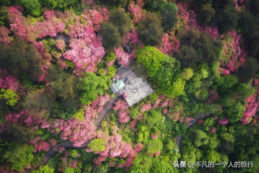 走遍中国最美城市,走遍中国最美的路