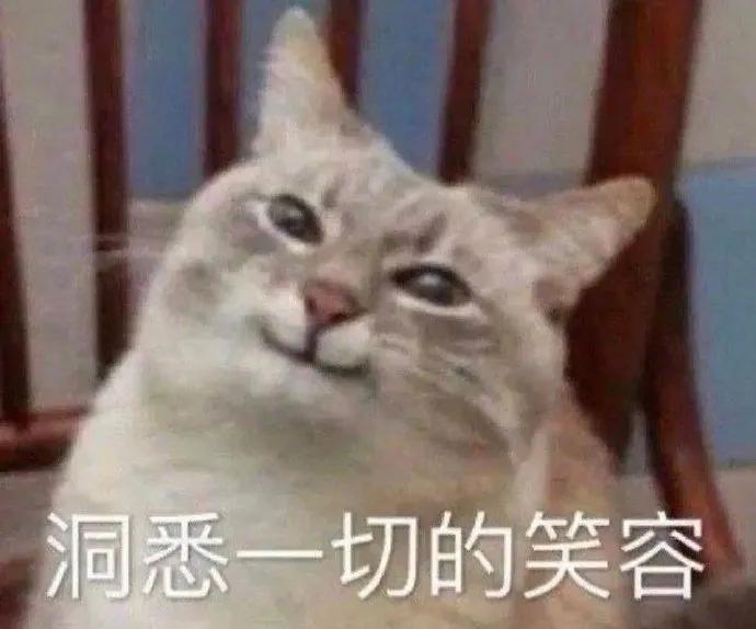 什么都想学,什么都学不精怎么办?