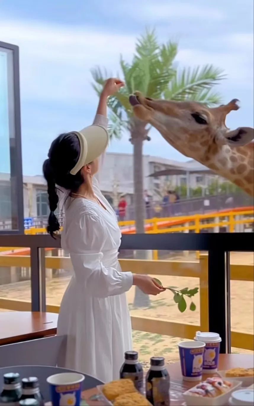 武汉特种兵式旅游攻略,南京特种兵式旅游攻略