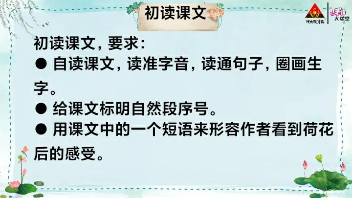 三年级下册荷花ppt课件部编版,荷花背景ppt图片
