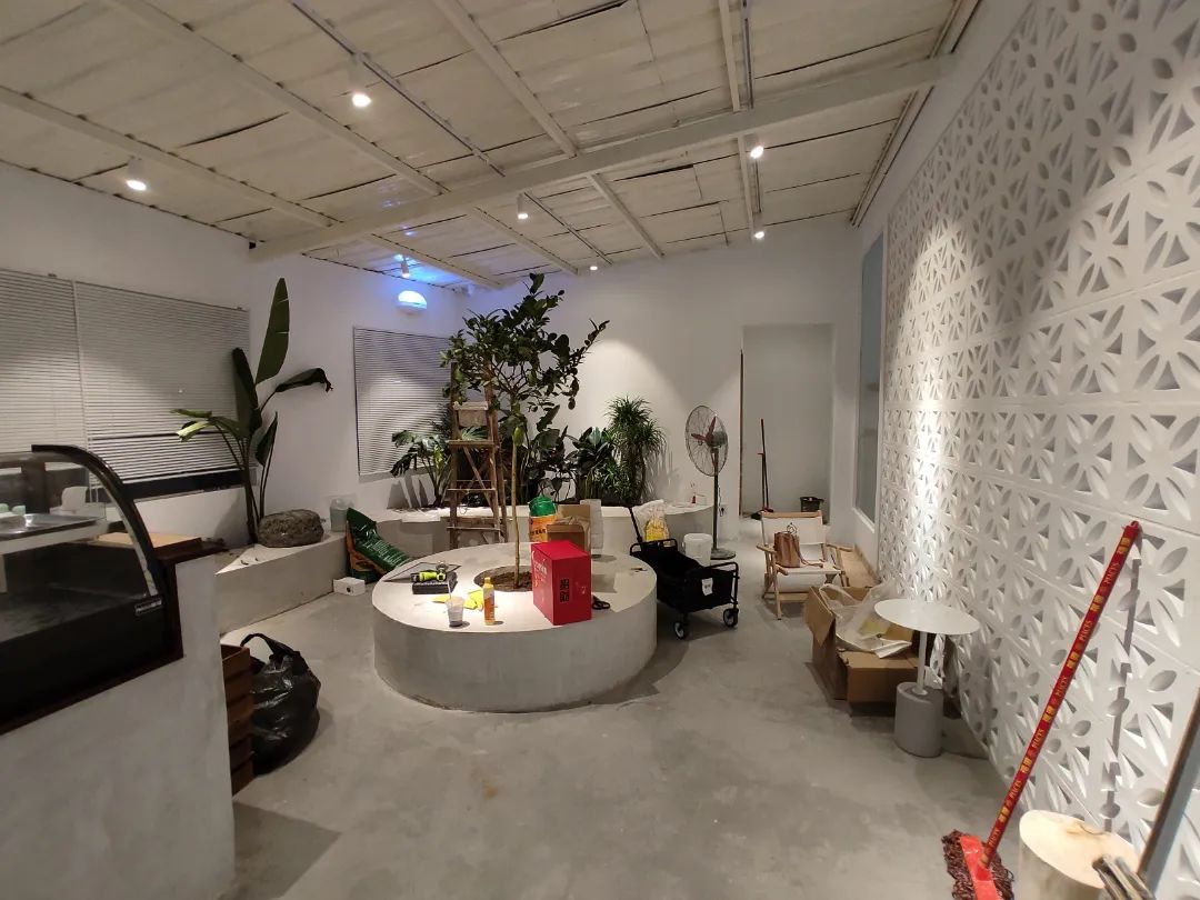 她只想回归自然，开花店却一年净利润50多万元——南宁小姐姐将理想照进了现实